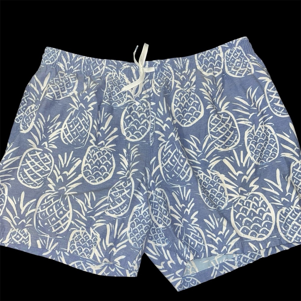 CHUBBIES Mens The Thigh-napples Swim Trunks in Faded Blue Pineapple
